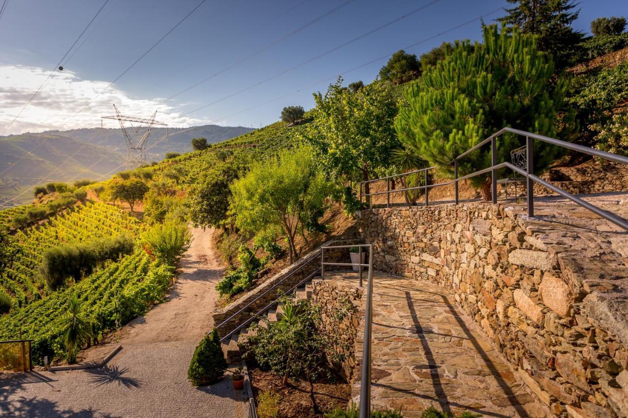 Quinta Da Portela Douro アルママール エクステリア 写真