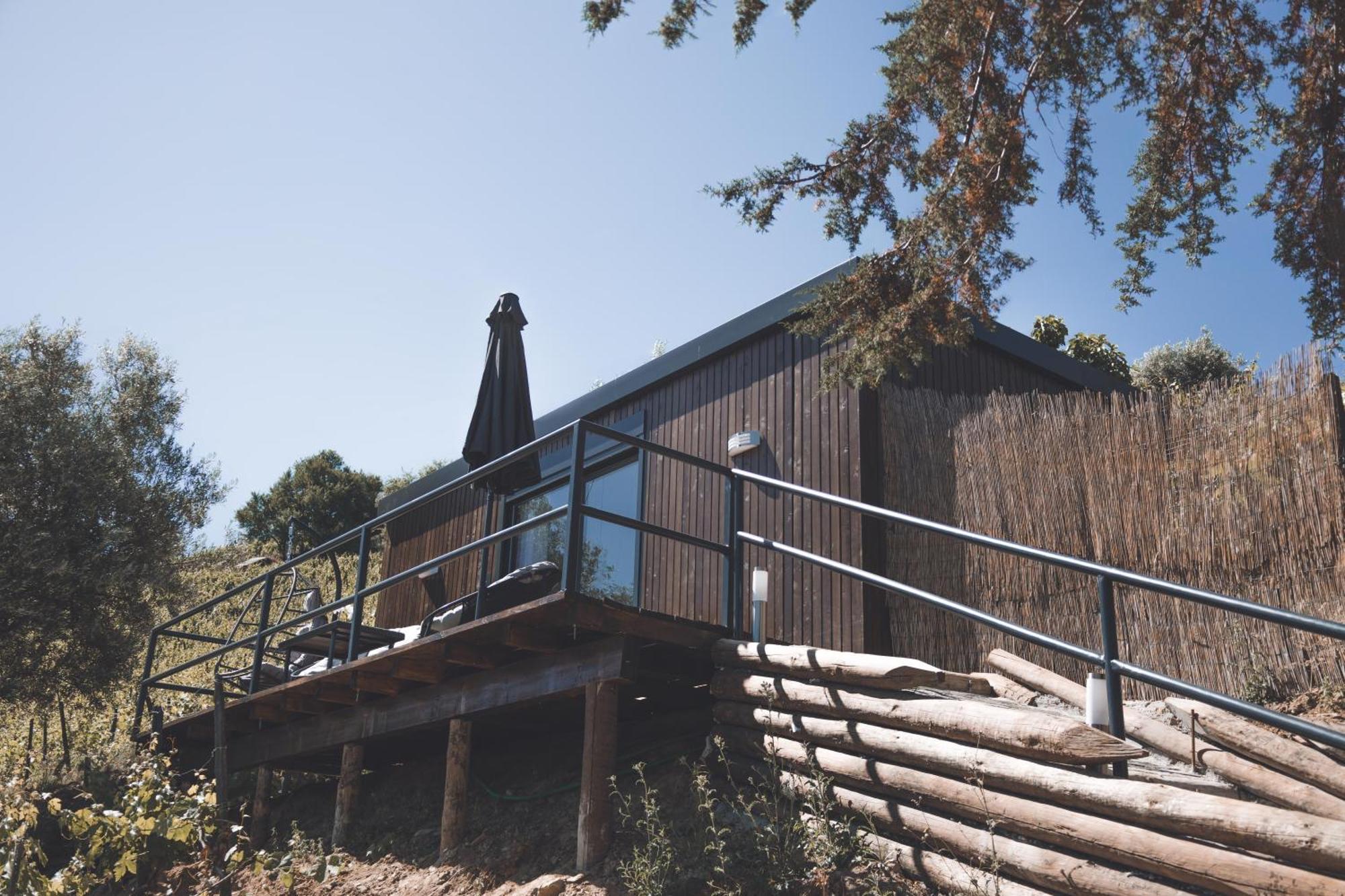 Quinta Da Portela Douro アルママール エクステリア 写真