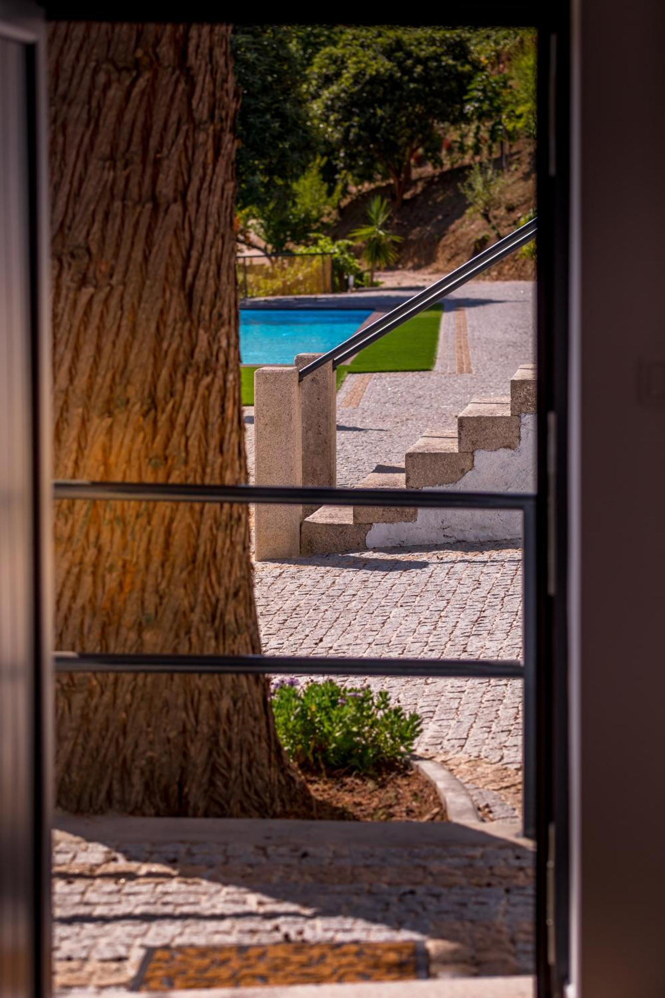 Quinta Da Portela Douro アルママール エクステリア 写真